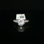 Round Diamond Solitaire Ring with Accented Platinum Band