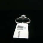 Round Diamond Solitaire Ring with Accented Platinum Band